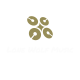The Lone-Wolf Music Blog